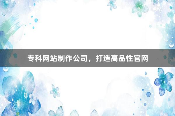专科网站制作公司，打造高品性官网
