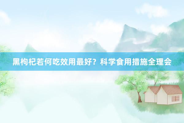 黑枸杞若何吃效用最好？科学食用措施全理会